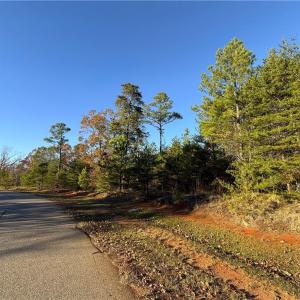 Photo #10 of 176 Lake View Pass, Rockingham, NC 5.1 acres