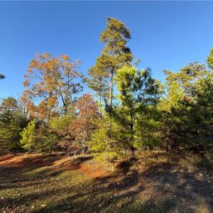 Photo #11 of 176 Lake View Pass, Rockingham, NC 5.1 acres