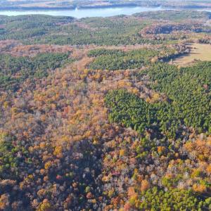 Photo #9 of 176 Lake View Pass, Rockingham, NC 5.1 acres