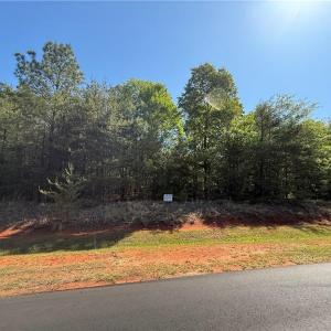 Photo #6 of 176 Lake View Pass, Rockingham, NC 5.1 acres