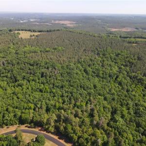 Photo #3 of 176 Lake View Pass, Rockingham, NC 5.1 acres