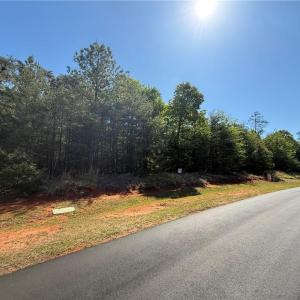 Photo #4 of 176 Lake View Pass, Rockingham, NC 5.1 acres