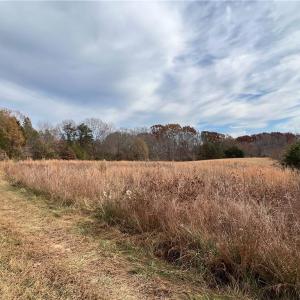 Cleared Portion of Property (1)