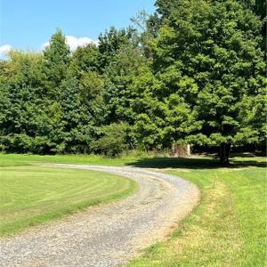 Nature Ln - Gravel Road - Leading to Property