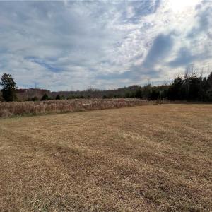 Cleared Portion of Property (2)