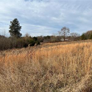 Cleared Portion of Property (4)