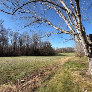 Photo #1 of Conrad, Lewisville, NC 10.3 acres