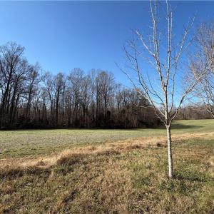 Photo #2 of Conrad, Lewisville, NC 10.3 acres
