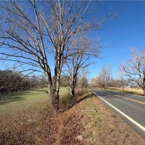 Photo #3 of Conrad, Lewisville, NC 6.1 acres