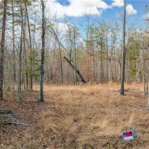 Photo #23 of Cooper, Staley, NC 8.7 acres