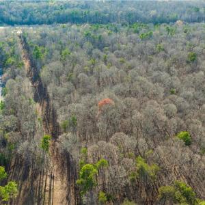 Photo #13 of Cooper, Staley, NC 8.7 acres