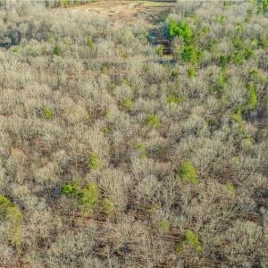 Photo #17 of Cooper, Staley, NC 8.7 acres