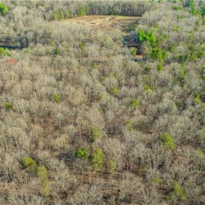 Photo #16 of Cooper, Staley, NC 8.7 acres