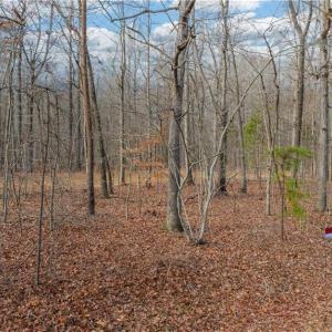 Photo #26 of Cooper, Staley, NC 8.7 acres