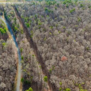 Photo #20 of Cooper, Staley, NC 8.7 acres