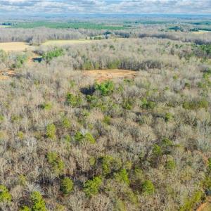 Photo #9 of Cooper, Staley, NC 8.7 acres