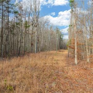 Photo #24 of Cooper, Staley, NC 8.7 acres