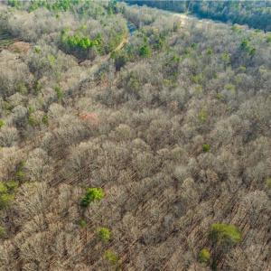 Photo #15 of Cooper, Staley, NC 8.7 acres