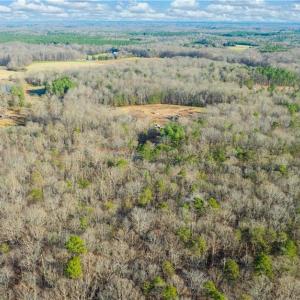 Photo #8 of Cooper, Staley, NC 8.7 acres