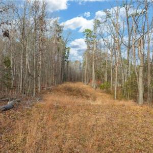 Photo #25 of Cooper, Staley, NC 8.7 acres