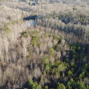 Photo #28 of Mulberry Academy, Franklinville, NC 10.3 acres