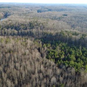 Photo #11 of Mulberry Academy, Franklinville, NC 10.3 acres