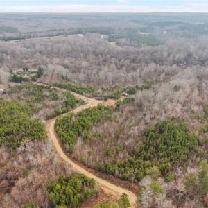 Photo #7 of 971 Goosecreek, Prospect Hill, NC 10.4 acres