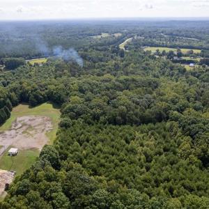 Photo #6 of Highway 220, Stoneville, NC 45.7 acres