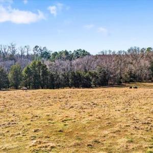 Photo #13 of Juney Beauchamp, Advance, NC 24.0 acres