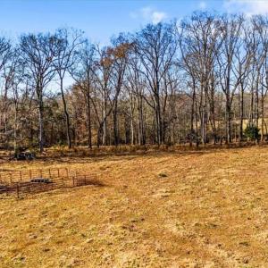 Photo #15 of Juney Beauchamp, Advance, NC 24.0 acres
