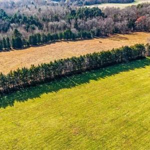 Photo #11 of Juney Beauchamp, Advance, NC 24.0 acres
