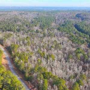 Photo #6 of 114 Lake View Pass, Rockingham, NC 9.4 acres