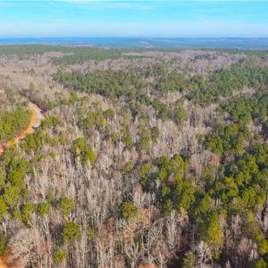 Photo #7 of 114 Lake View Pass, Rockingham, NC 9.4 acres