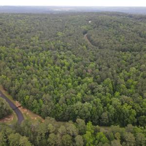 Photo #6 of 114 Lake View Pass, Rockingham, NC 9.4 acres