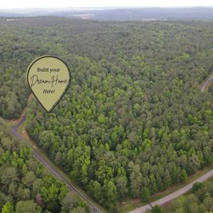 Photo #1 of 114 Lake View Pass, Rockingham, NC 9.4 acres