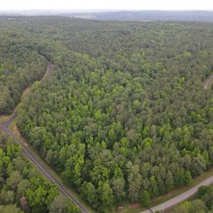 Photo #5 of 114 Lake View Pass, Rockingham, NC 9.4 acres