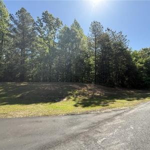 Photo #11 of 114 Lake View Pass, Rockingham, NC 9.4 acres