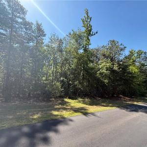 Photo #8 of 114 Lake View Pass, Rockingham, NC 9.4 acres