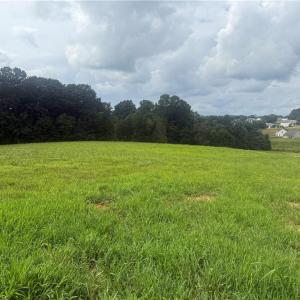 Photo #9 of Chancerwood, Rural Hall, NC 9.0 acres