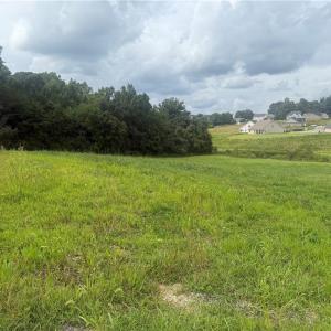 Photo #10 of Chancerwood, Rural Hall, NC 9.0 acres