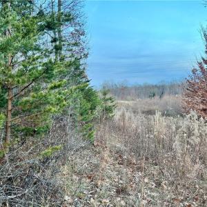 205 Horseshoe bend views