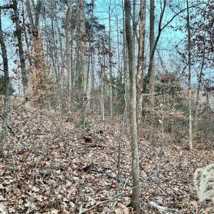 Front of 205 Horseshoe Bend