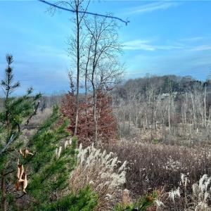 205 Horseshoe bend views