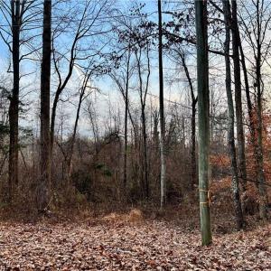 Front of 205 Horseshoe Bend