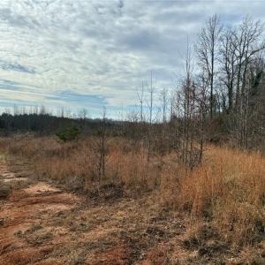 Photo #6 of 9033 Stack, Colfax, NC 28.5 acres