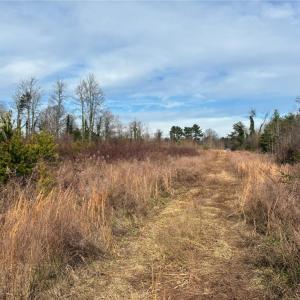 Photo #7 of 9033 Stack, Colfax, NC 28.5 acres