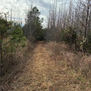 Photo #9 of 9033 Stack, Colfax, NC 28.5 acres