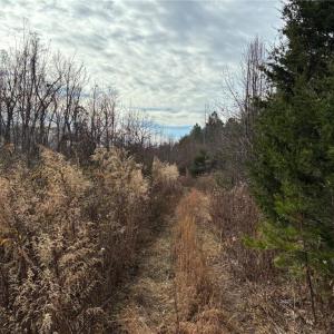 Photo #8 of 9033 Stack, Colfax, NC 28.5 acres