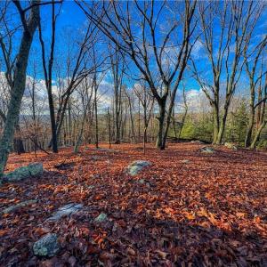 Photo #3 of 338 Sierra Trace, Denton, NC 1.8 acres