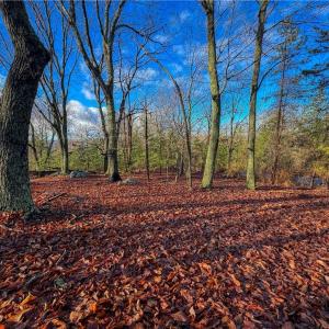 Photo #1 of 338 Sierra Trace, Denton, NC 1.8 acres